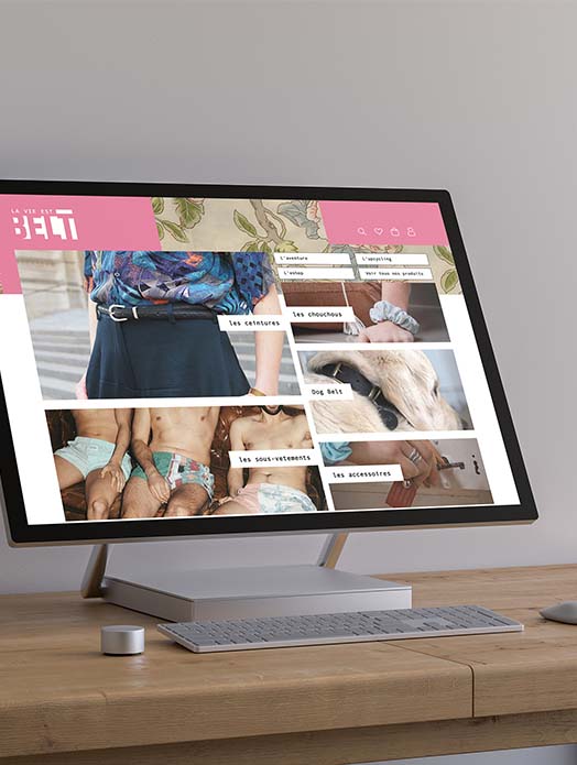 Site web La vie est Belt